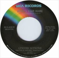 Lynyrd Skynyrd : What's Your Name - I Know a Little
